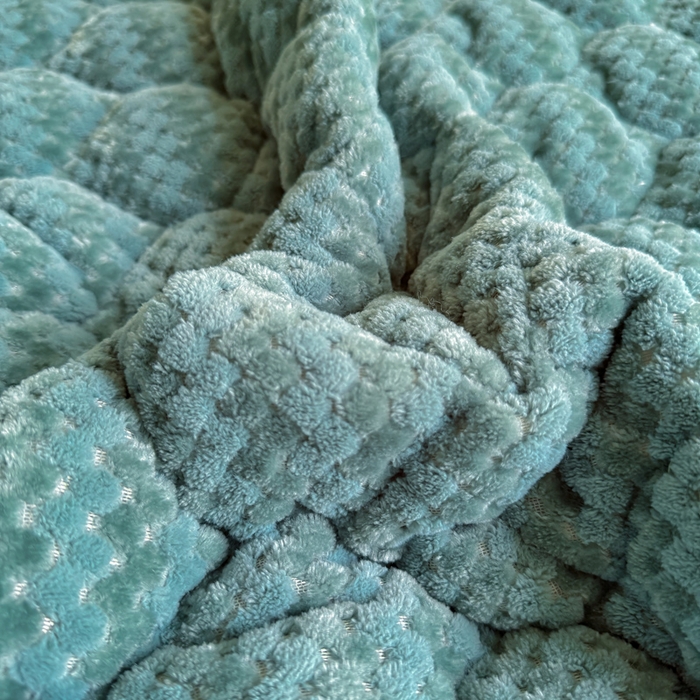 91家纺网 家纺一手货源 找家纺 正邦家纺 2025新款云豆绒加厚保暖夹棉软床垫上下铺床褥学生床护垫 松柏绿