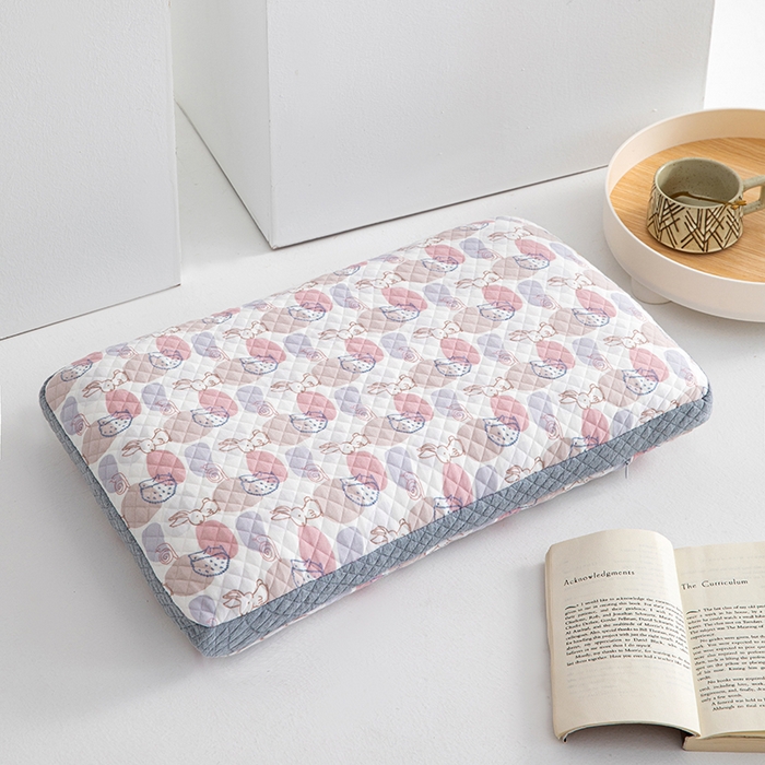 91家纺网 家纺一手货源 找家纺 （总）仁宇枕业 2025新款新品A类全棉针织棉彩色卡通儿童学生幼儿园全荞麦枕头枕芯