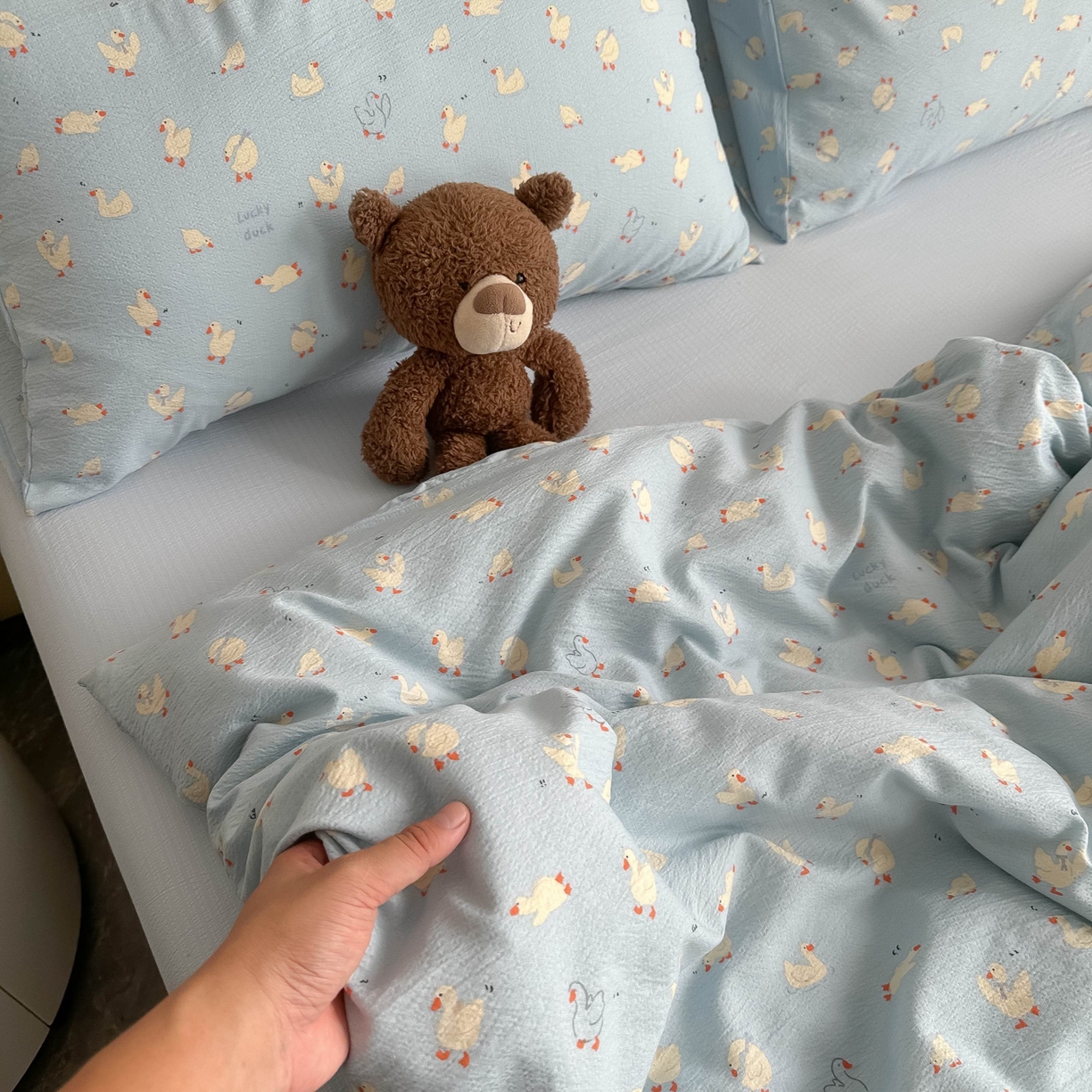 91家纺网 家纺一手货源 找家纺 韩巢家纺 2025新款双层纱床上用品四件套热销款超柔学生宿舍床单被套三件套 向天歌大鹅