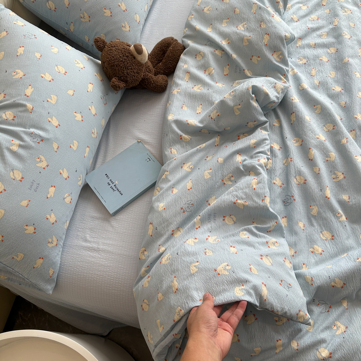 91家纺网 家纺一手货源 找家纺 韩巢家纺 2025新款双层纱床上用品四件套热销款超柔学生宿舍床单被套三件套 向天歌大鹅