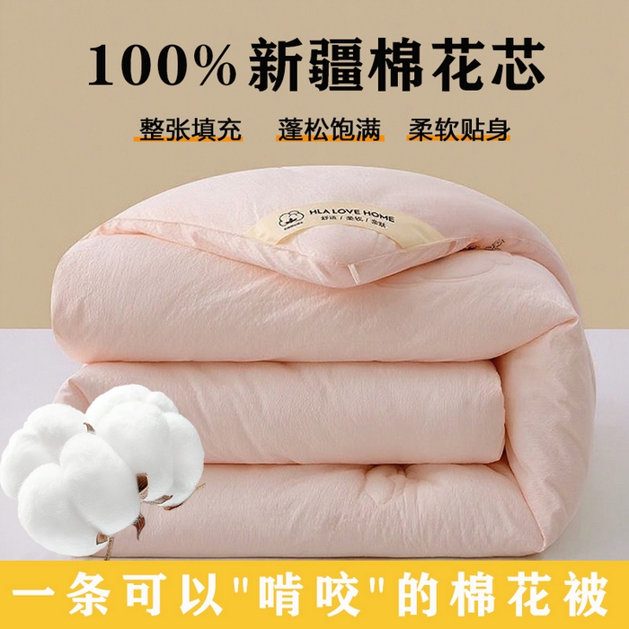 91家纺网 家纺一手货源 找家纺 （总）VIP被业 2025新款水洗棉皱皱纱新疆棉冬被被芯