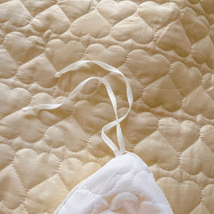 91家纺网 家纺一手货源 找家纺 罗艺轩 2025新款全棉蕾丝刺绣单床裙-小香玫瑰 小香玫瑰-香槟