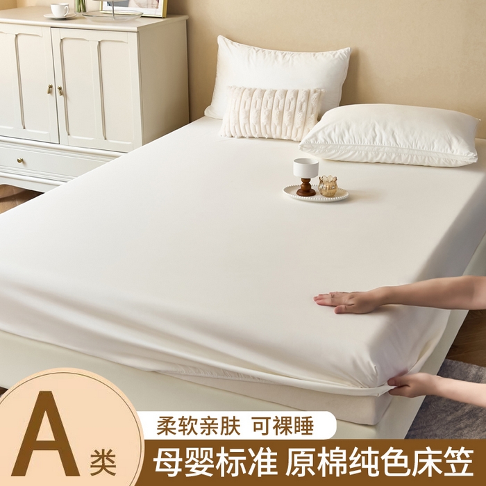 青泽家纺 2025新款床笠单件防滑水洗棉床套罩床单全包席梦思床垫防尘保护罩 白色
