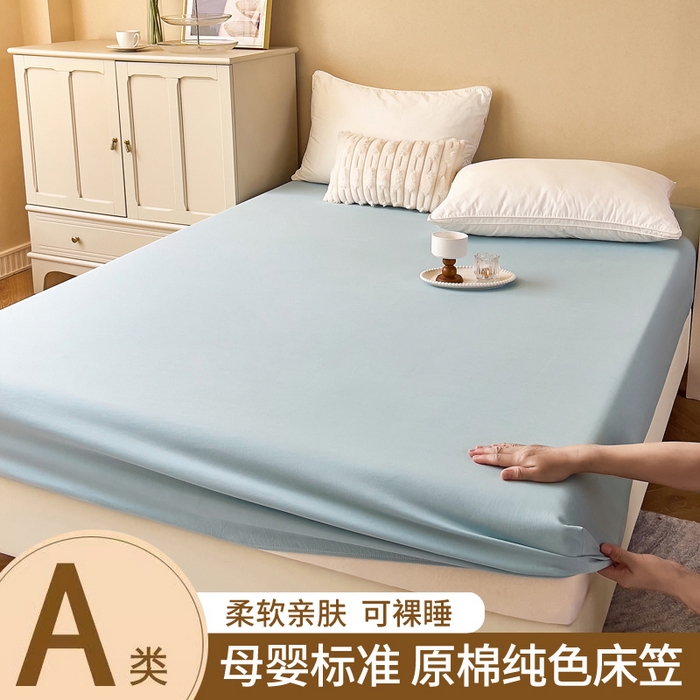 青泽家纺 2025新款床笠单件防滑水洗棉床套罩床单全包席梦思床垫防尘保护罩 湖蓝