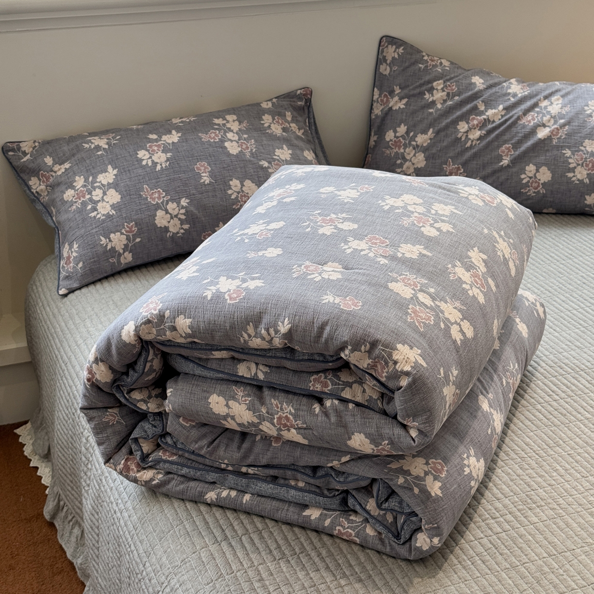 91家纺网 家纺一手货源 找家纺 一加一 2025新款双层纱印花大豆抗菌冬被被子被芯 晴云