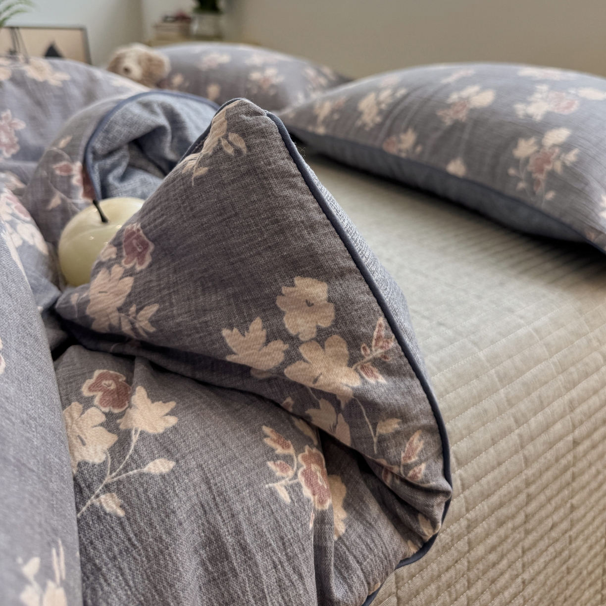 91家纺网 家纺一手货源 找家纺 一加一 2025新款双层纱印花大豆抗菌冬被被子被芯 晴云