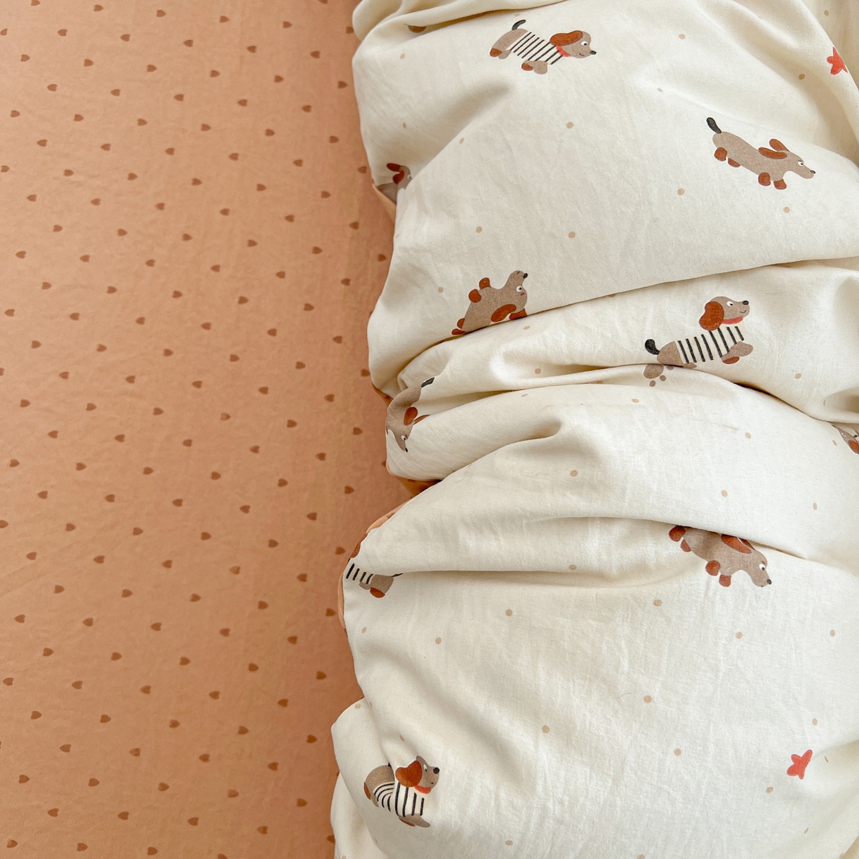 91家纺网 家纺一手货源 找家纺 韩后家纺 2025新款水洗棉印花系列四件套 腊肠狗