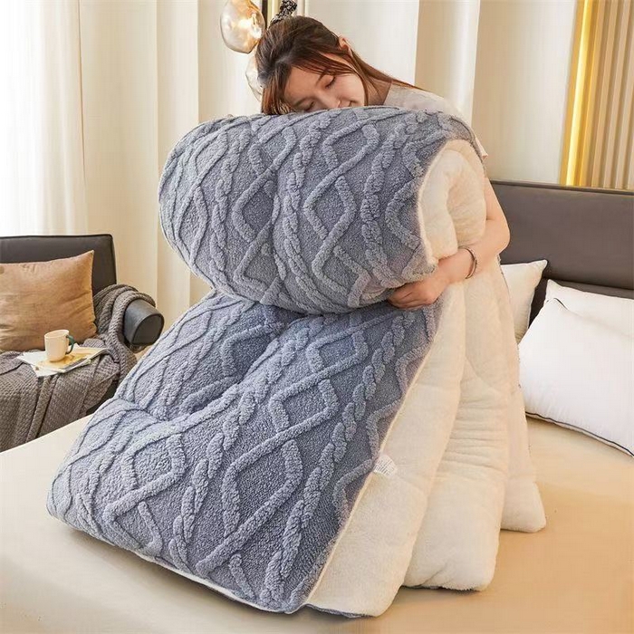 （总）铺尚美家纺 2025春夏新款塔芙绒北极绒加厚冬被子被芯