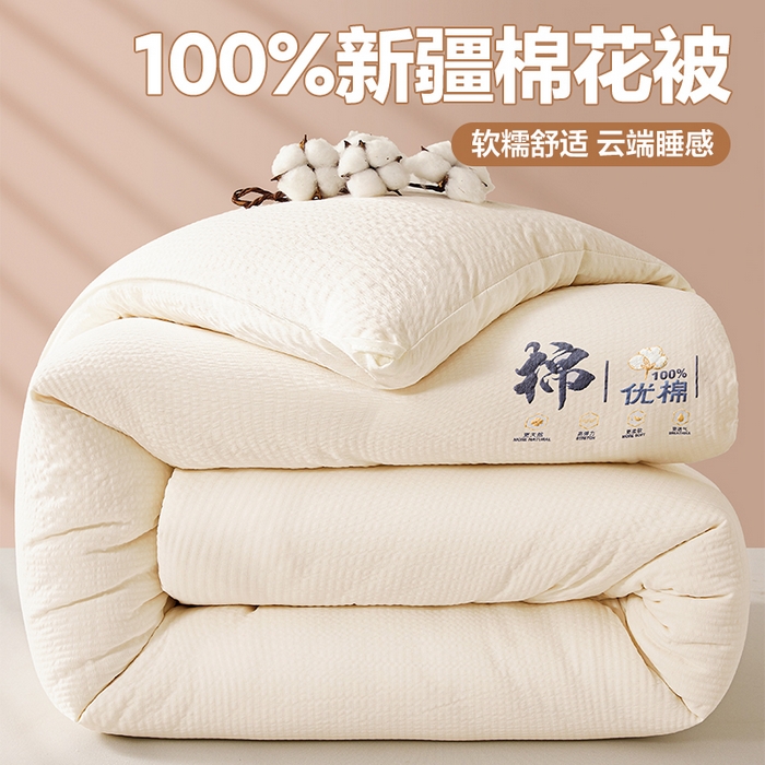 91家纺网 家纺一手货源 找家纺 （总）金喜 2025新款优棉提花棉花被新疆棉花被
