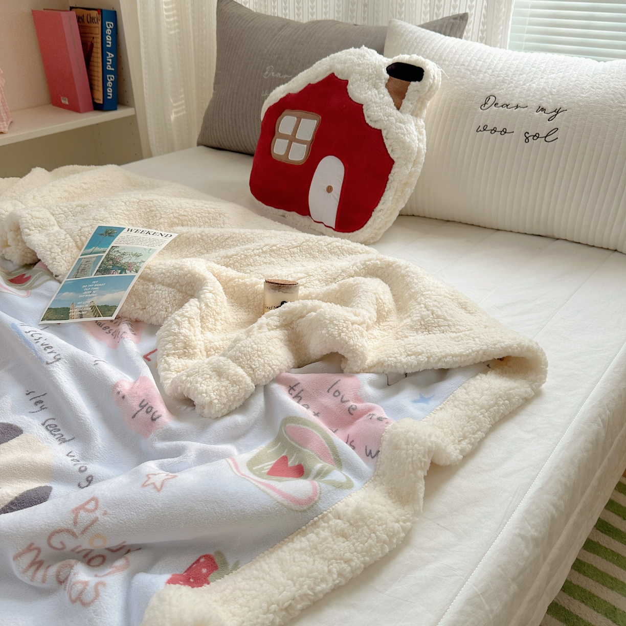 91家纺网 家纺一手货源 找家纺 六巷胡同 2025新款INS卡通A类牛奶绒羊羔绒毛毯毯子 猫狗小课堂