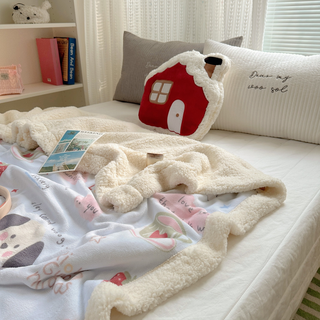 91家纺网 家纺一手货源 找家纺 六巷胡同 2025新款INS卡通A类牛奶绒羊羔绒毛毯毯子 猫狗小课堂