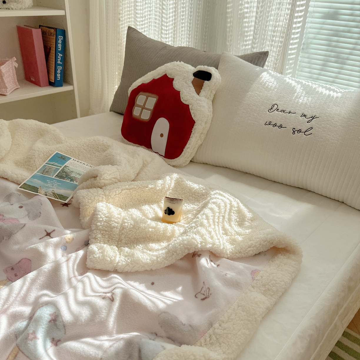 91家纺网 家纺一手货源 找家纺 六巷胡同 2025新款INS卡通A类牛奶绒羊羔绒毛毯毯子 卧室课本犬