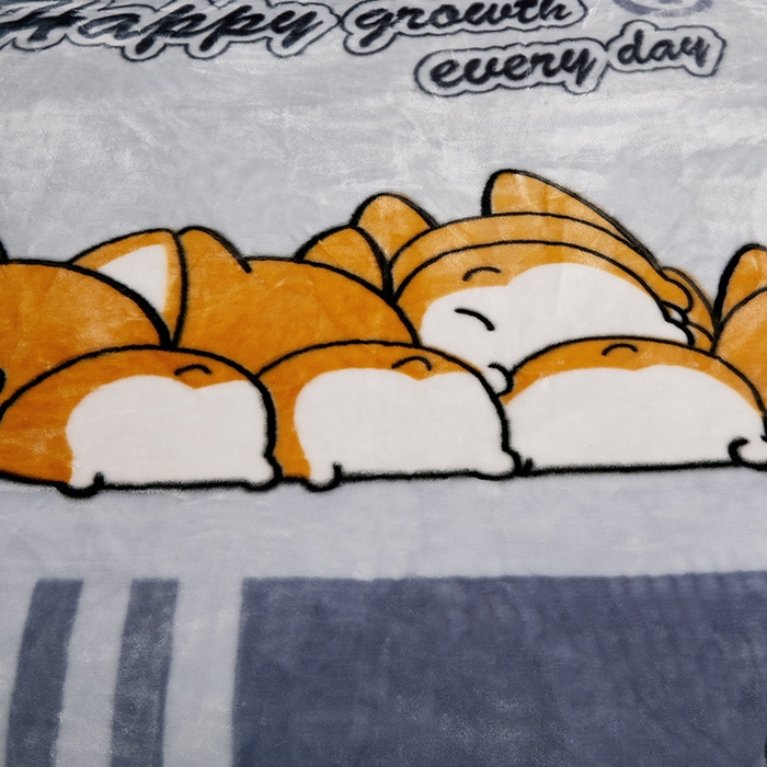 91家纺网 家纺一手货源 找家纺 铺尚美家纺 2025新款拉舍尔毛毯毯子双层加厚不加棉不加布 4-12斤可定制外贸毛毯 016 灰色(柯基)