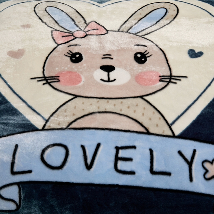 91家纺网 家纺一手货源 找家纺 铺尚美家纺 2025新款拉舍尔毛毯毯子双层加厚不加棉不加布 4-12斤可定制外贸毛毯 021 兔子