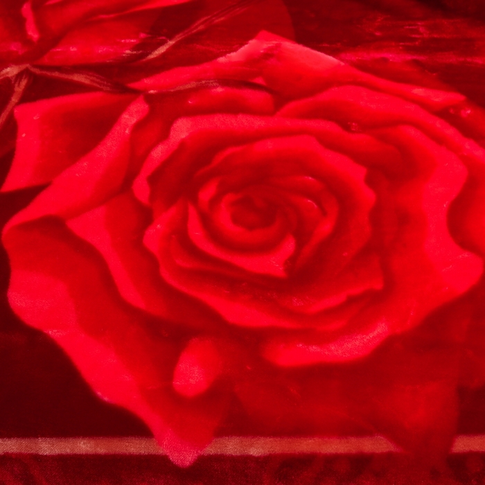 91家纺网 家纺一手货源 找家纺 铺尚美家纺 2025新款拉舍尔毛毯毯子双层加厚不加棉不加布 4-12斤可定制外贸毛毯 653 大红