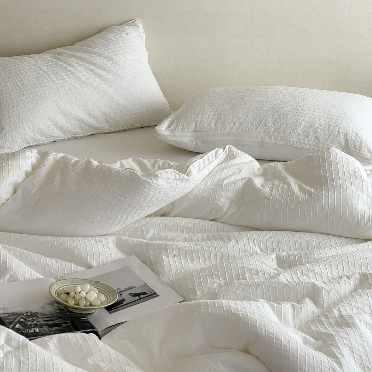 91家纺网 家纺一手货源 找家纺 一加一 2025新款全棉大提花益生菌立体抗菌被子被芯 花漾