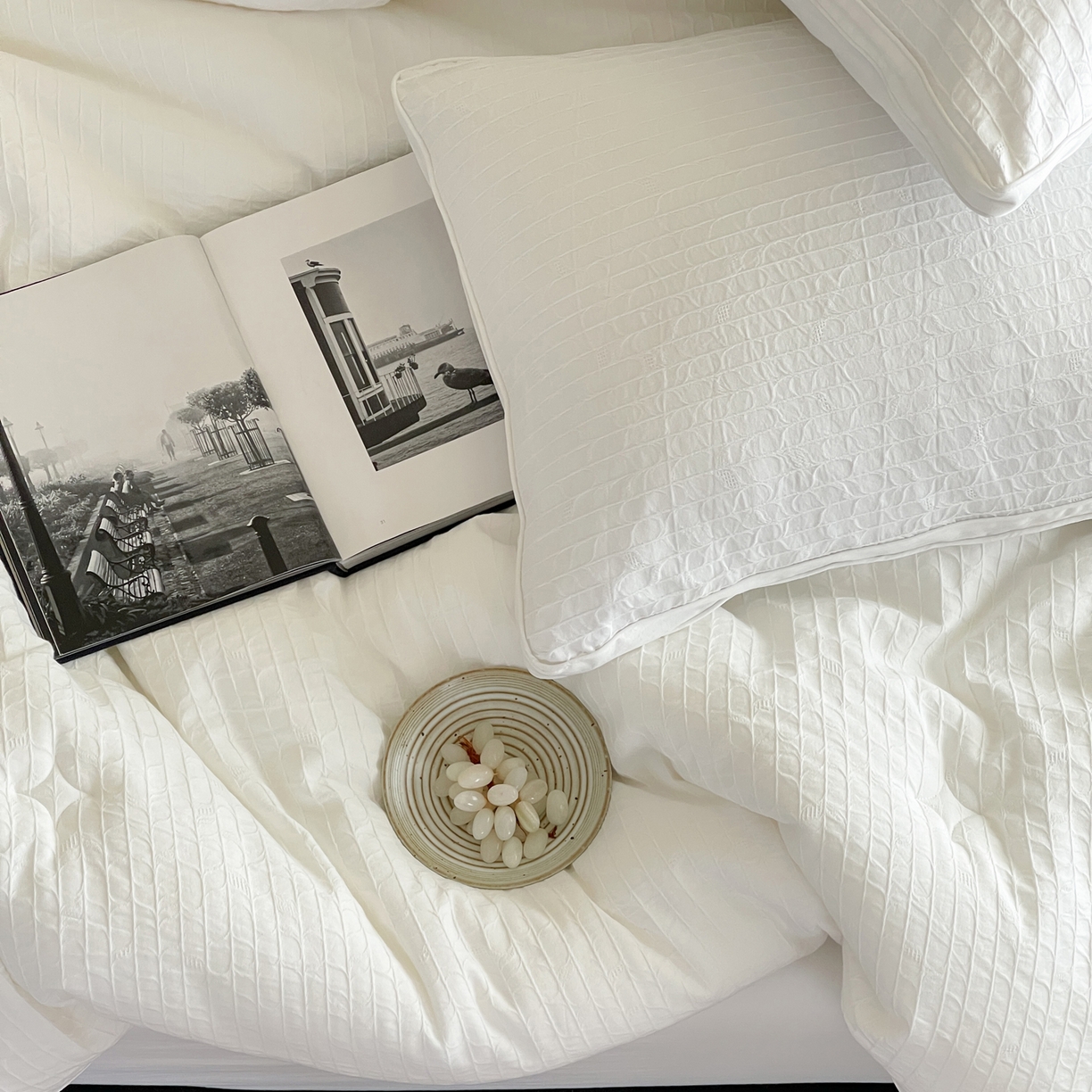 91家纺网 家纺一手货源 找家纺 一加一 2025新款全棉大提花益生菌立体抗菌被子被芯 花漾