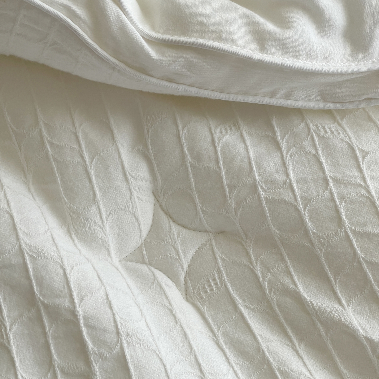 91家纺网 家纺一手货源 找家纺 一加一 2025新款全棉大提花益生菌立体抗菌被子被芯 花漾