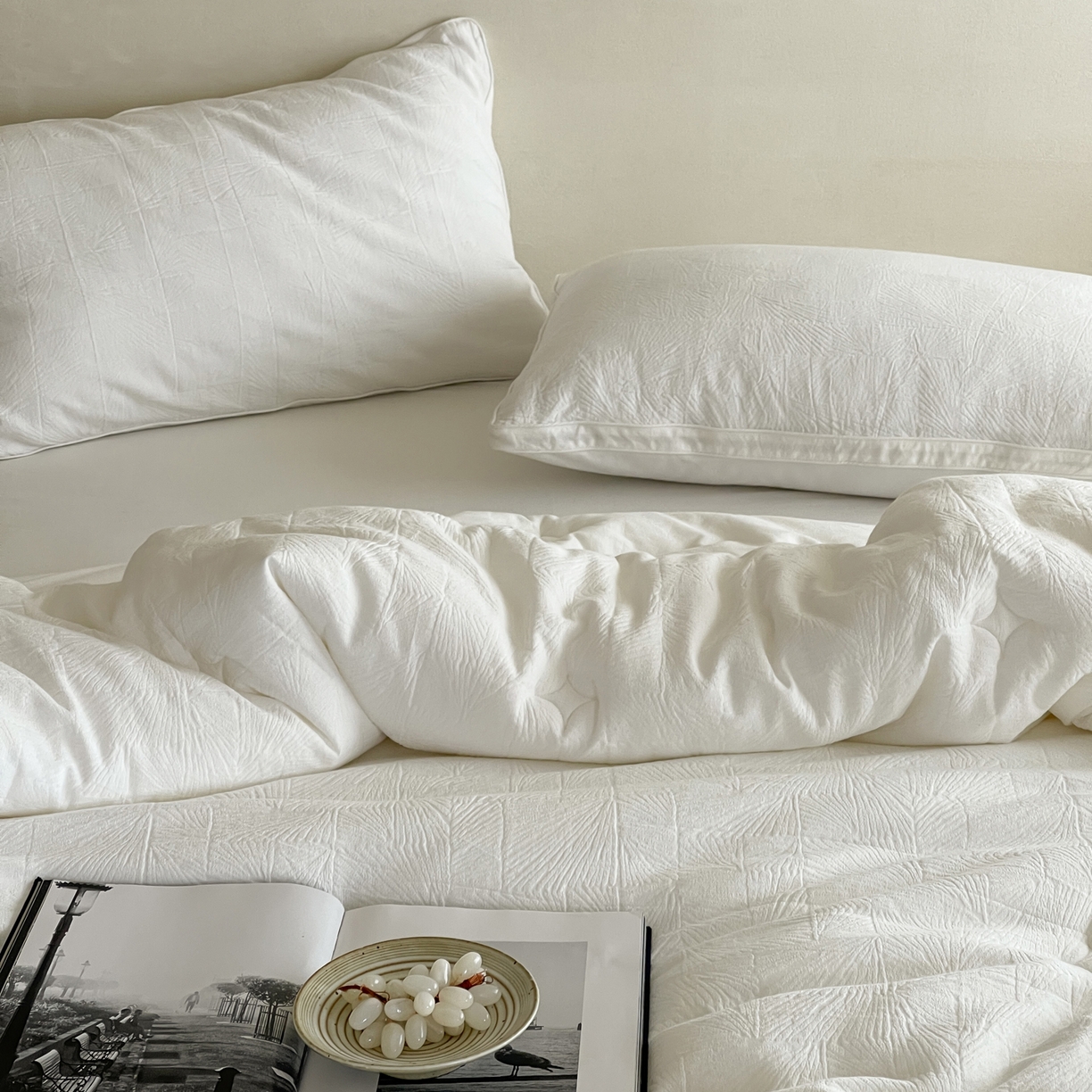 91家纺网 家纺一手货源 找家纺 一加一 2025新款全棉大提花益生菌立体抗菌被子被芯 山木花亭