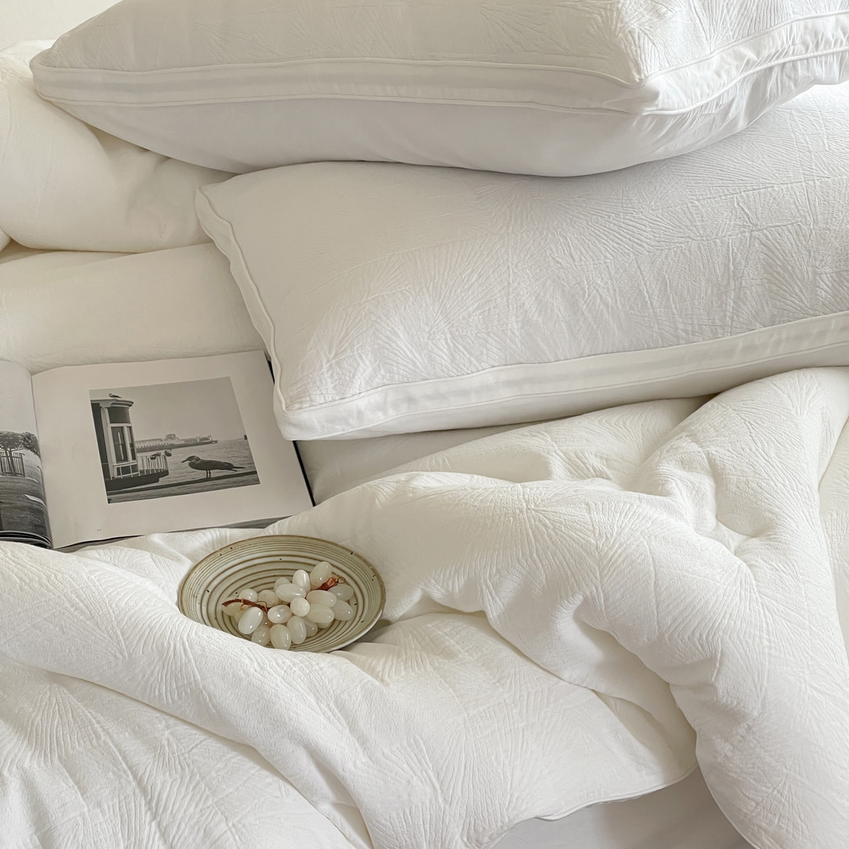 91家纺网 家纺一手货源 找家纺 一加一 2025新款全棉大提花益生菌立体抗菌被子被芯 山木花亭