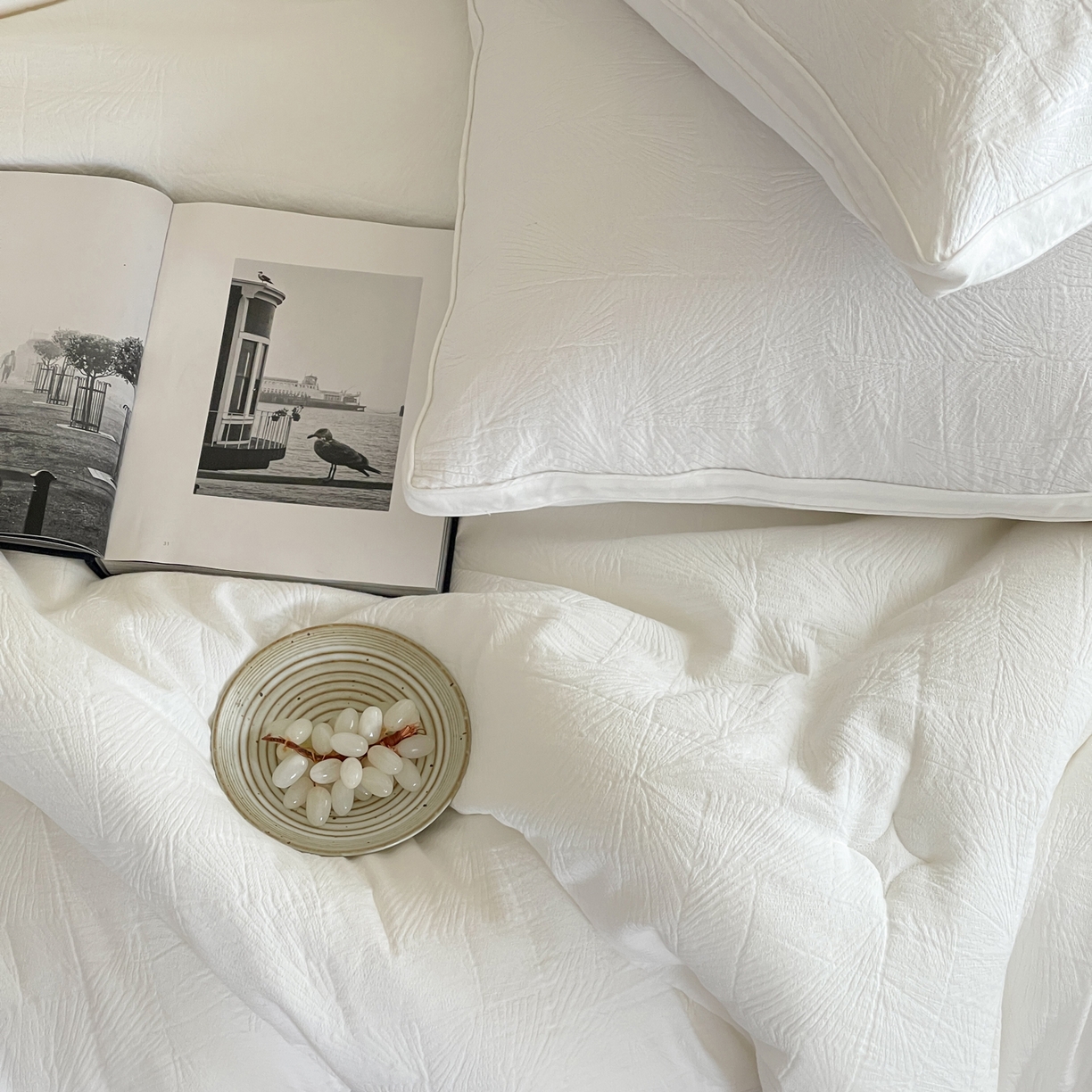 91家纺网 家纺一手货源 找家纺 一加一 2025新款全棉大提花益生菌立体抗菌被子被芯 山木花亭