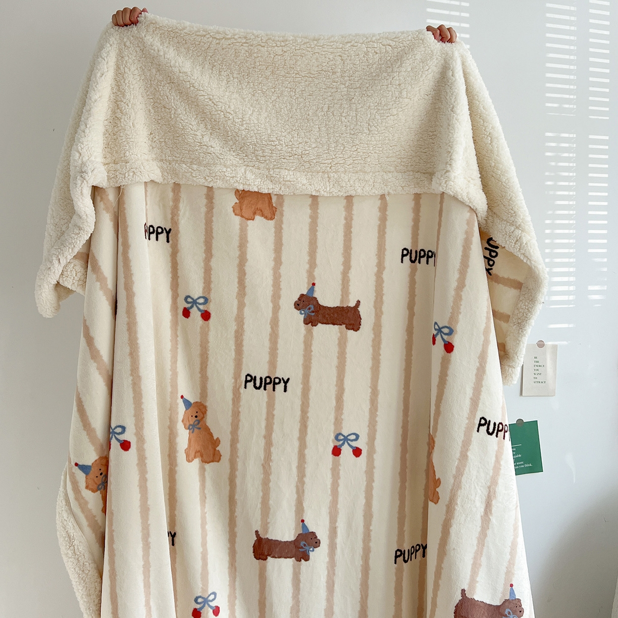 耀悦家纺 2025新款毛毯带拉链被套两用加厚高克重牛奶绒毯子羊羔绒 条纹优雅修狗