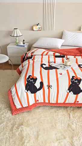 91家纺网 家纺一手货源 找家纺 欧朵 2025新款A类水洗棉豆豆绒被子冬被大豆被芯春秋被冬被 幼儿园 学生宿舍 四季被空调被子黑喵