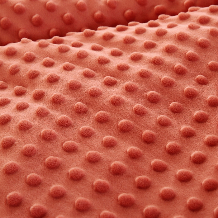 91家纺网 家纺一手货源 找家纺 欧朵 2025新款A类水洗棉豆豆绒被子冬被大豆被芯春秋被冬被 幼儿园 学生宿舍 四季被空调被子花漾