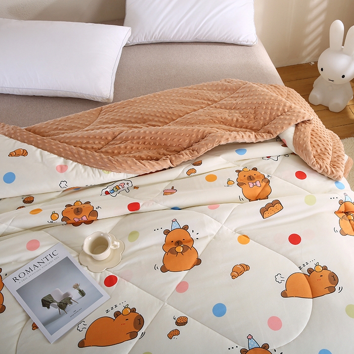 91家纺网 家纺一手货源 找家纺 欧朵 2025新款A类水洗棉豆豆绒被子冬被大豆被芯春秋被冬被 幼儿园 学生宿舍 四季被空调被子卡皮巴拉