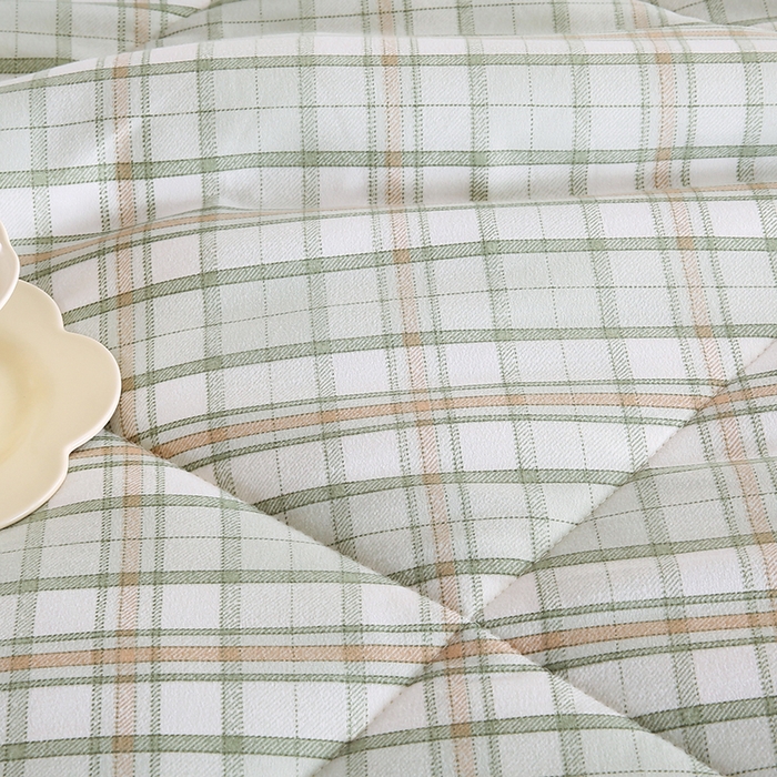 91家纺网 家纺一手货源 找家纺 欧朵 2025新款A类水洗棉豆豆绒被子冬被大豆被芯春秋被冬被 幼儿园 学生宿舍 四季被空调被子绿大格