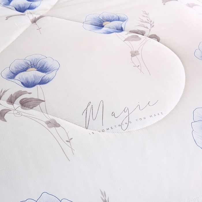 91家纺网 家纺一手货源 找家纺 欧朵 2025新款A类水洗棉豆豆绒被子冬被大豆被芯春秋被冬被 幼儿园 学生宿舍 四季被空调被子墨妍