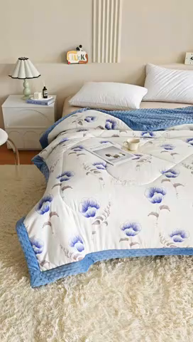 91家纺网 家纺一手货源 找家纺 欧朵 2025新款A类水洗棉豆豆绒被子冬被大豆被芯春秋被冬被 幼儿园 学生宿舍 四季被空调被子墨妍