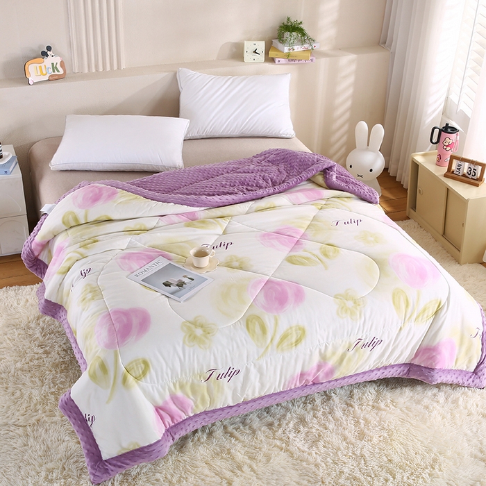 91家纺网 家纺一手货源 找家纺 欧朵 2025新款A类水洗棉豆豆绒被子冬被大豆被芯春秋被冬被 幼儿园 学生宿舍 四季被空调被子浅梦