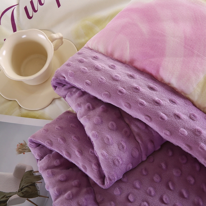 91家纺网 家纺一手货源 找家纺 欧朵 2025新款A类水洗棉豆豆绒被子冬被大豆被芯春秋被冬被 幼儿园 学生宿舍 四季被空调被子浅梦