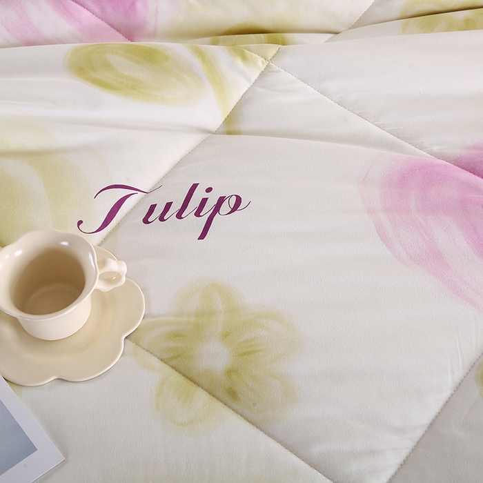 91家纺网 家纺一手货源 找家纺 欧朵 2025新款A类水洗棉豆豆绒被子冬被大豆被芯春秋被冬被 幼儿园 学生宿舍 四季被空调被子浅梦