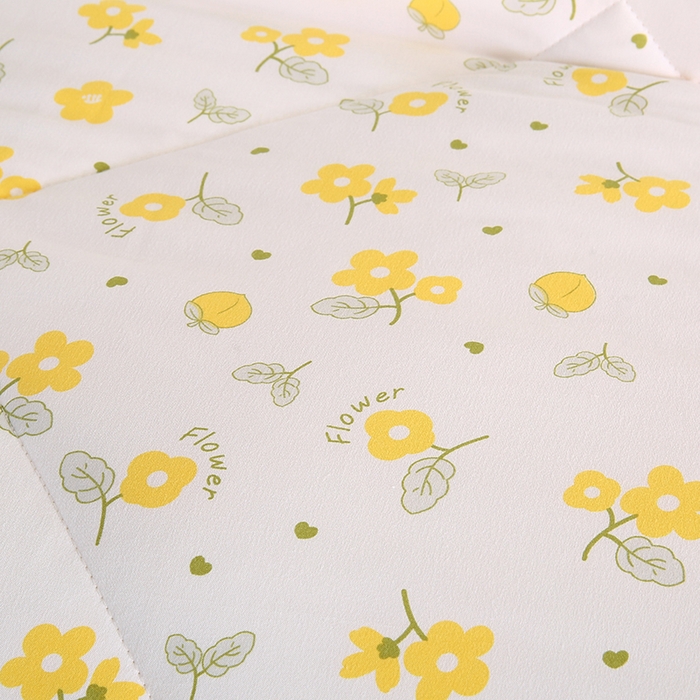 91家纺网 家纺一手货源 找家纺 欧朵 2025新款A类水洗棉豆豆绒被子冬被大豆被芯春秋被冬被 幼儿园 学生宿舍 四季被空调被子浅兮