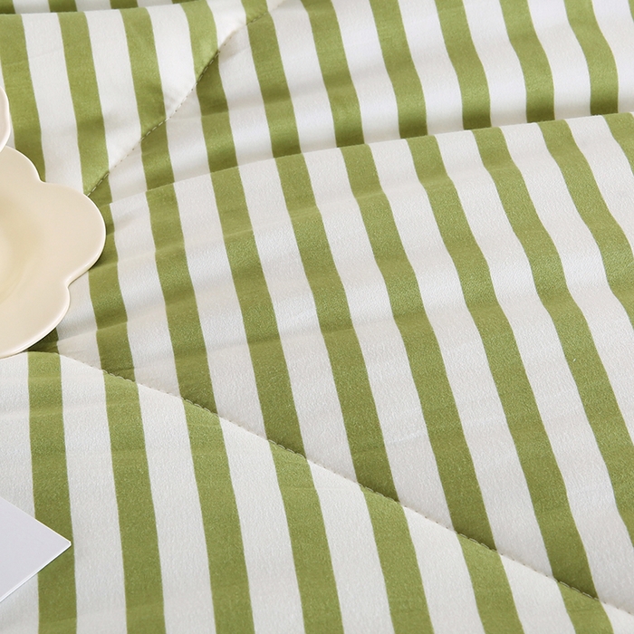 91家纺网 家纺一手货源 找家纺 欧朵 2025新款A类水洗棉豆豆绒被子冬被大豆被芯春秋被冬被 幼儿园 学生宿舍 四季被空调被子甜辣风-抹绿条