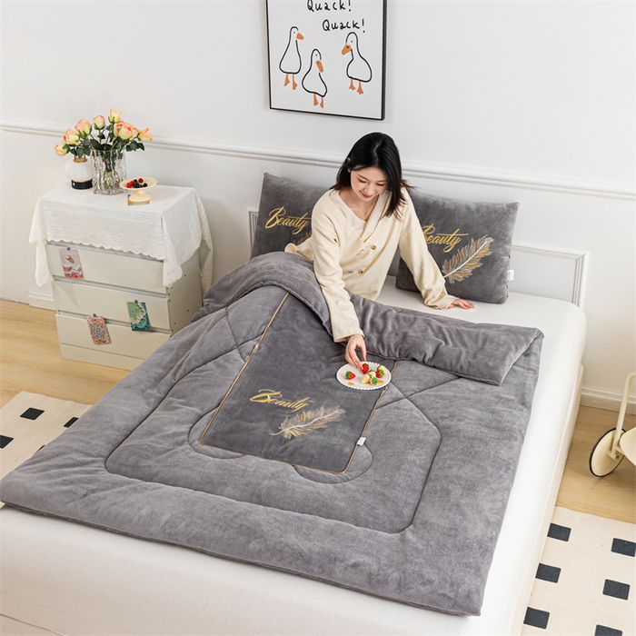 91家纺网 家纺一手货源 找家纺 哩哩熊 2025新款抱枕被子两用加厚二合一汽车载枕头办公室午睡毯子冬天靠枕-羽叶 羽叶-烟灰