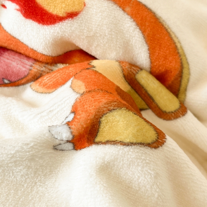 91家纺网 家纺一手货源 找家纺 暮思家居 2025新款正版授权宝可梦数码印花高克重加厚保暖牛奶绒四件套 绒小版-小火龙