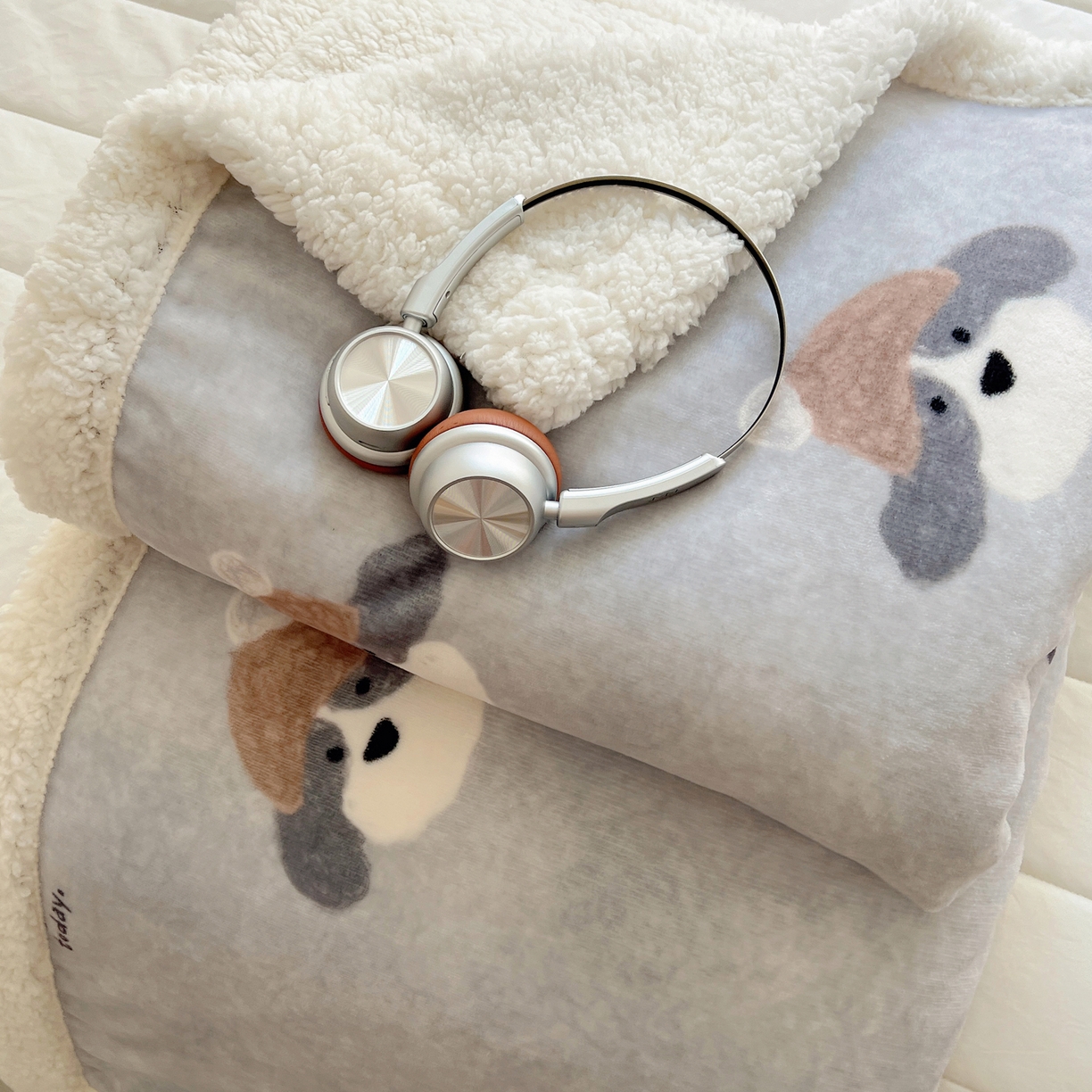 91家纺网 家纺一手货源 找家纺 桃子家居 2025新款A类ins小清新少女可爱奶油猫咪卡通加厚牛奶绒羊羔绒毛毯多功能毛毯 绒毛毯-MT灰萌狗