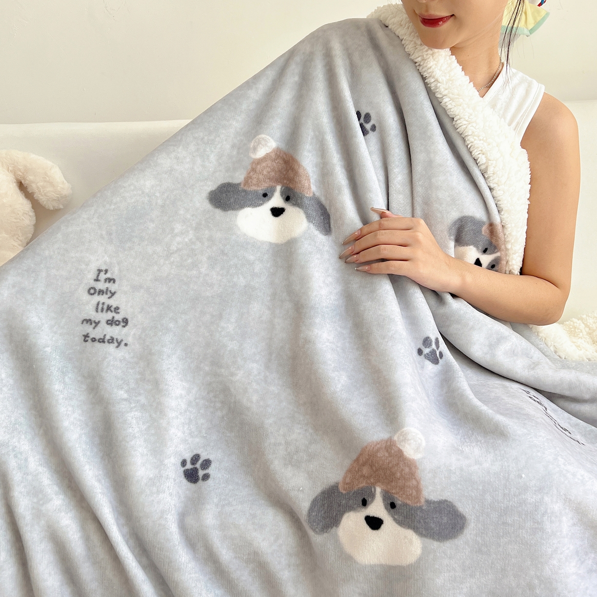 91家纺网 家纺一手货源 找家纺 桃子家居 2025新款A类ins小清新少女可爱奶油猫咪卡通加厚牛奶绒羊羔绒毛毯多功能毛毯 绒毛毯-MT灰萌狗