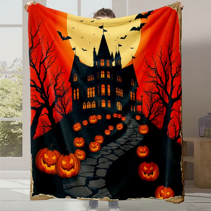 91家纺网 家纺一手货源 找家纺 （总1）轩贝雅 2025新款跨境Pod工厂数码印花法兰绒毛毯-第一批