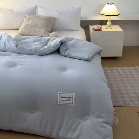 91家纺网 家纺一手货源 找家纺 秋泽  2025新款皱皱纱大豆被冬被春秋被夏被子被芯 浅灰