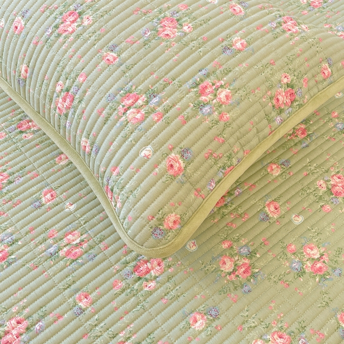 91家纺网 家纺一手货源 找家纺 梵朴 2025新款A类棉加绒一面纯棉一面宝宝婴儿牛奶绒双面可用床盖单品学生床垫炕盖 沫熙花-绿