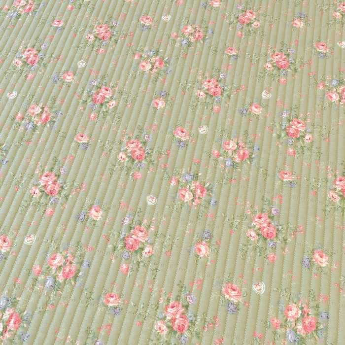 91家纺网 家纺一手货源 找家纺 梵朴 2025新款A类棉加绒一面纯棉一面宝宝婴儿牛奶绒双面可用床盖单品学生床垫炕盖 沫熙花-绿