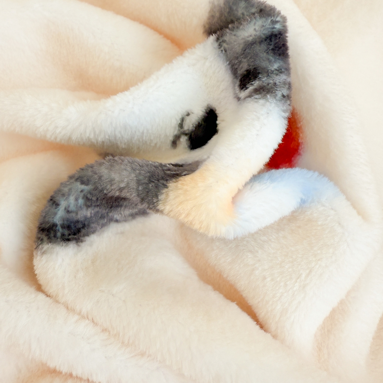 91家纺网 家纺一手货源 找家纺 呗旺鹿 2025新款A类高克重卡通印花牛奶绒印花四件套 蝴蝶结圆点小狗