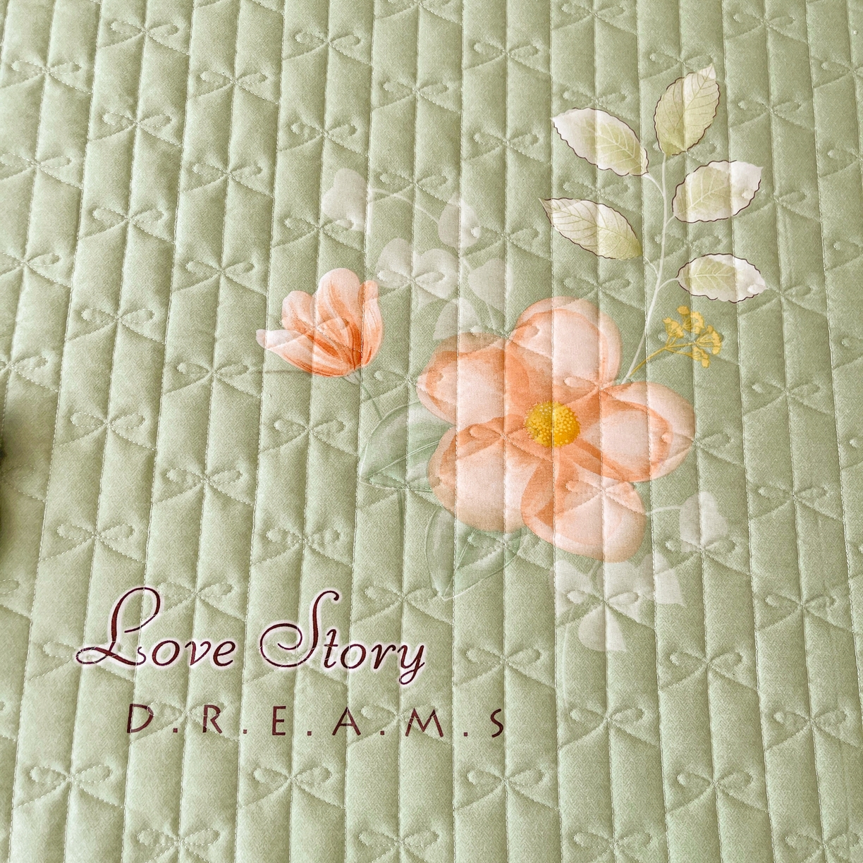 91家纺网 家纺一手货源 找家纺 缦彩 2025新款全棉加厚夹棉磨毛纯棉床裙套件公主风印花防滑床罩四件套-夹棉款 槿花怒放绿