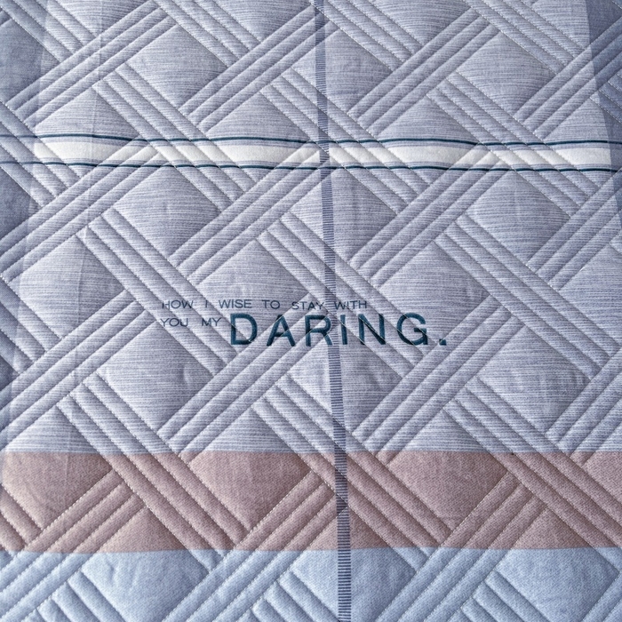 91家纺网 家纺一手货源 找家纺 缦彩 2025新款全棉加厚夹棉磨毛纯棉床裙套件公主风印花防滑床罩四件套-夹棉款 索伦格