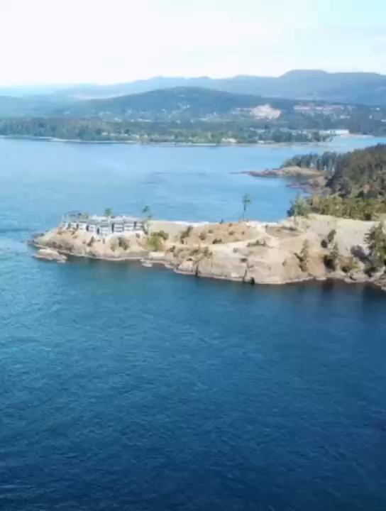 91家纺网 家纺一手货源 找家纺 （总）千朵森 2025新款杰西卡250克加厚高端锦丝绒四件套-风格一