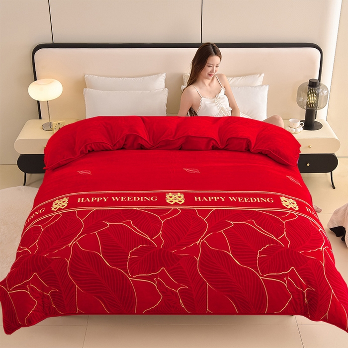 91家纺网 家纺一手货源 找家纺 （总）佳品居 2025新款A类牛奶绒印花单被套